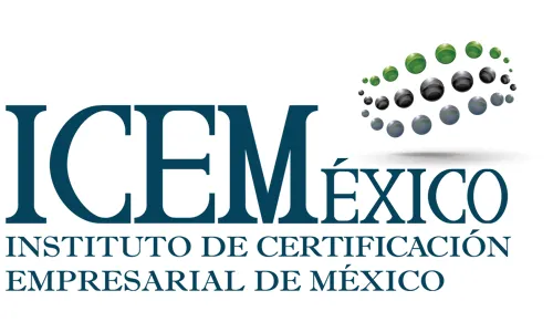 ICEM